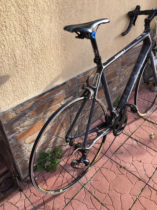 Semicursiera carbon Focus