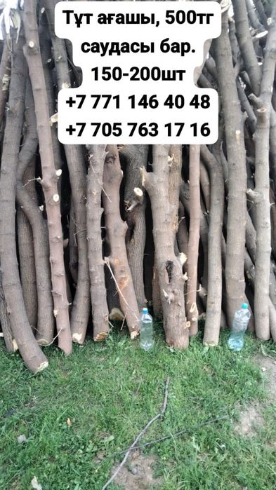 Ағаш стойкылар бар