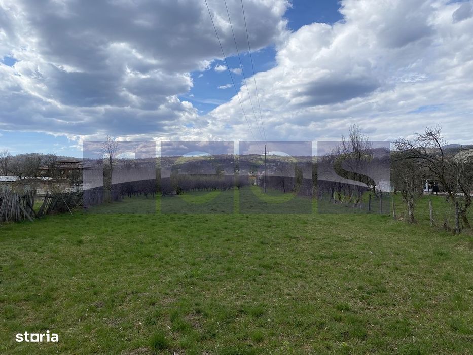 Teren Intravilan De Vânzare – Berevoiești, Arges – 14.200 Mp