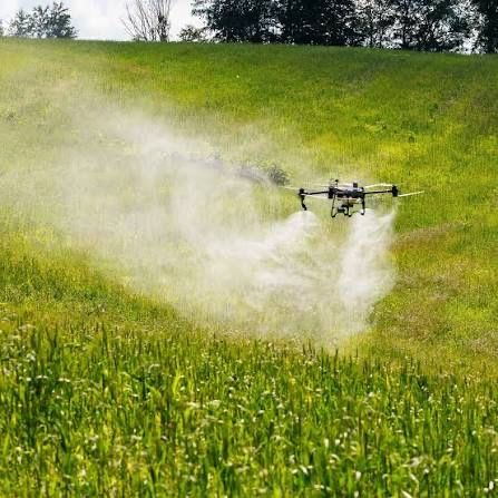 tratamente Drona Stropire și fertilizare precisă