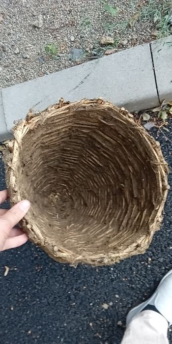 Плетени пчелни тръвни