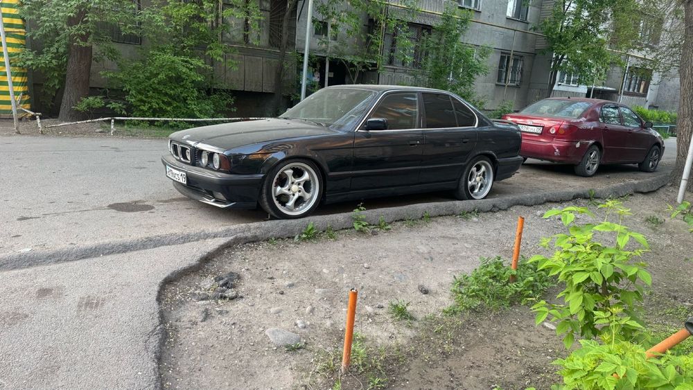 ПРОДАМ БЕХУ широкомордую 95 года