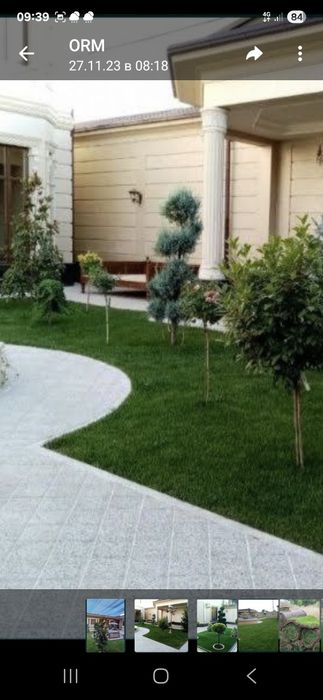 Услуги садовника