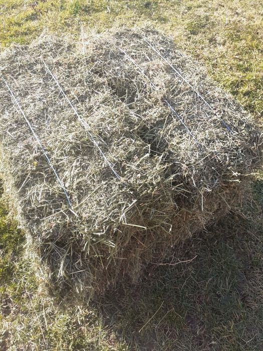 vând baloti de lucerna