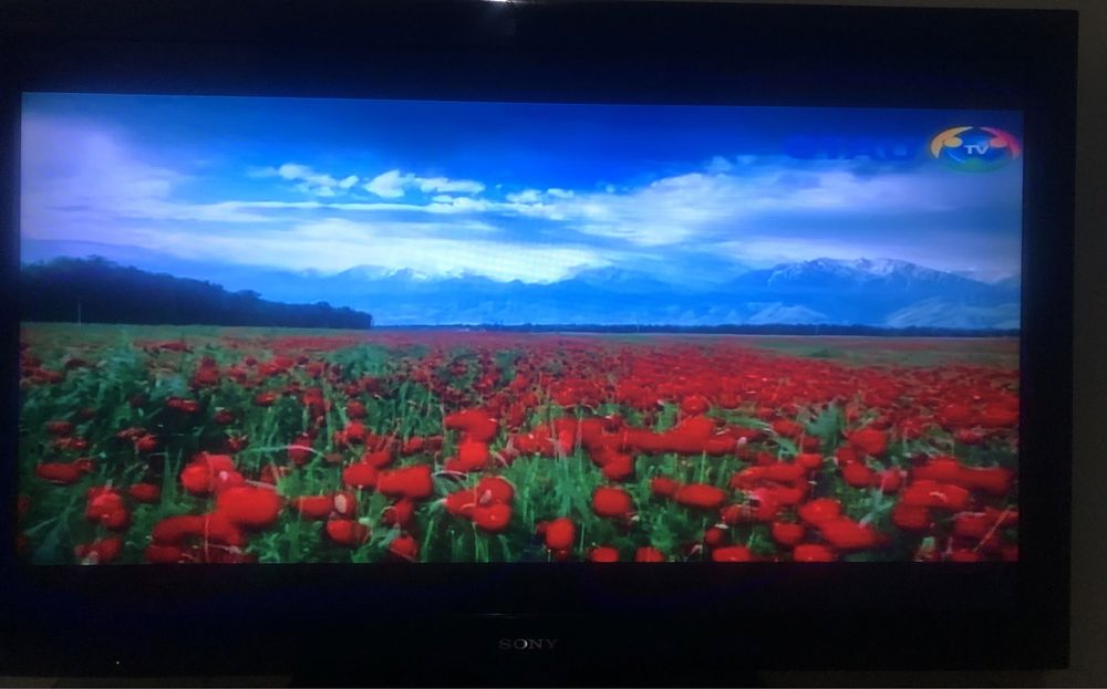 Телевизор Sony (Чехия)  срочно