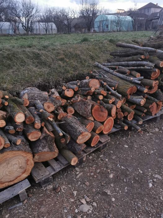 Lemne prun și mar  pentru afumat. sau pentru foc. 200ron/ms