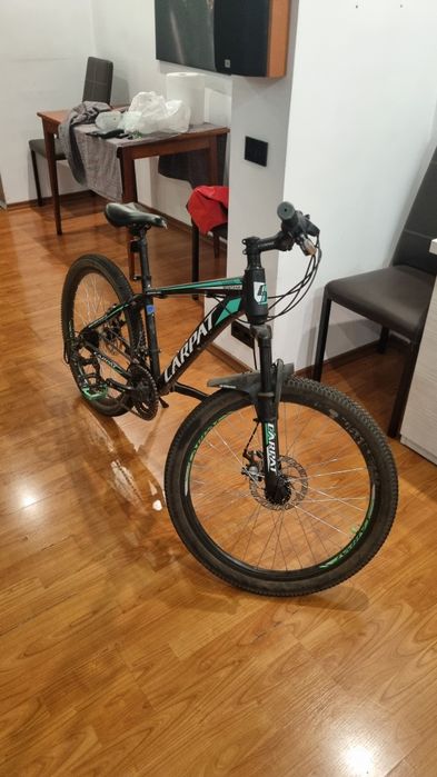 Bicicleta carpat
