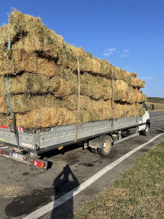 Baloti Lucerna 2025 OFER TRANSPORT