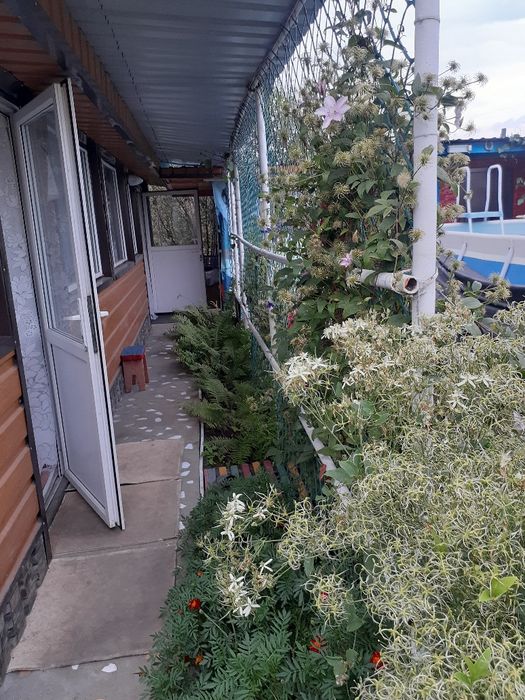 Продается дача- дом