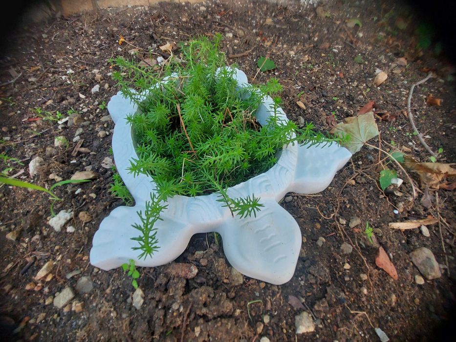 Градинска фигура от бетон костенурка