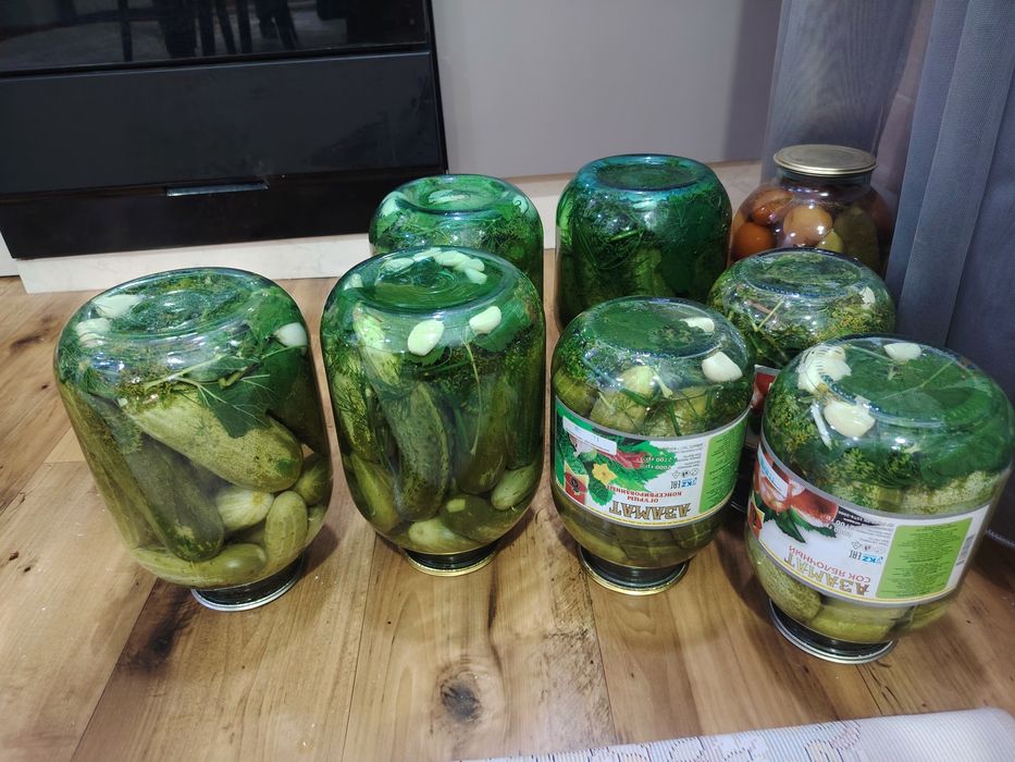 Соленья с домашних местных огурцов