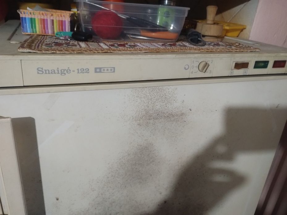 Фризер "Snaige"122