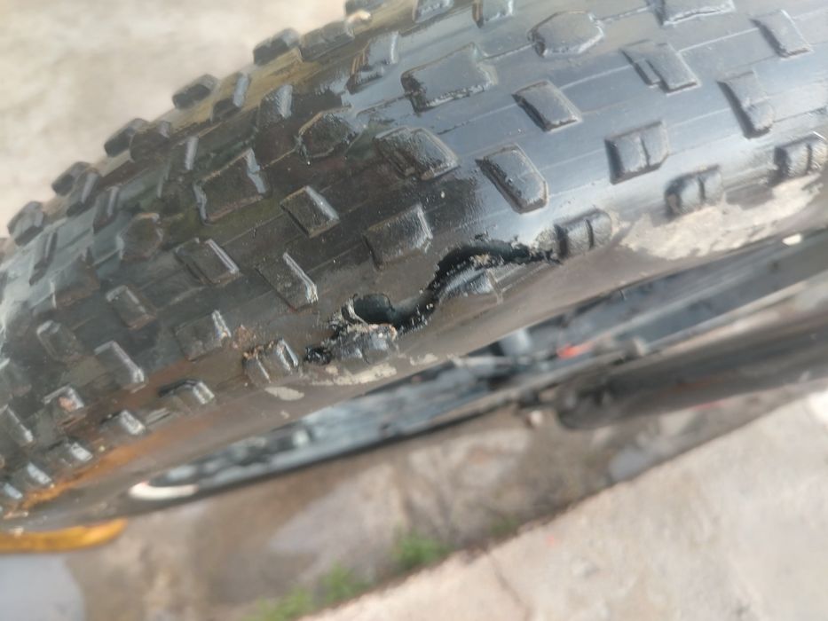 Velaseped narhi dagida