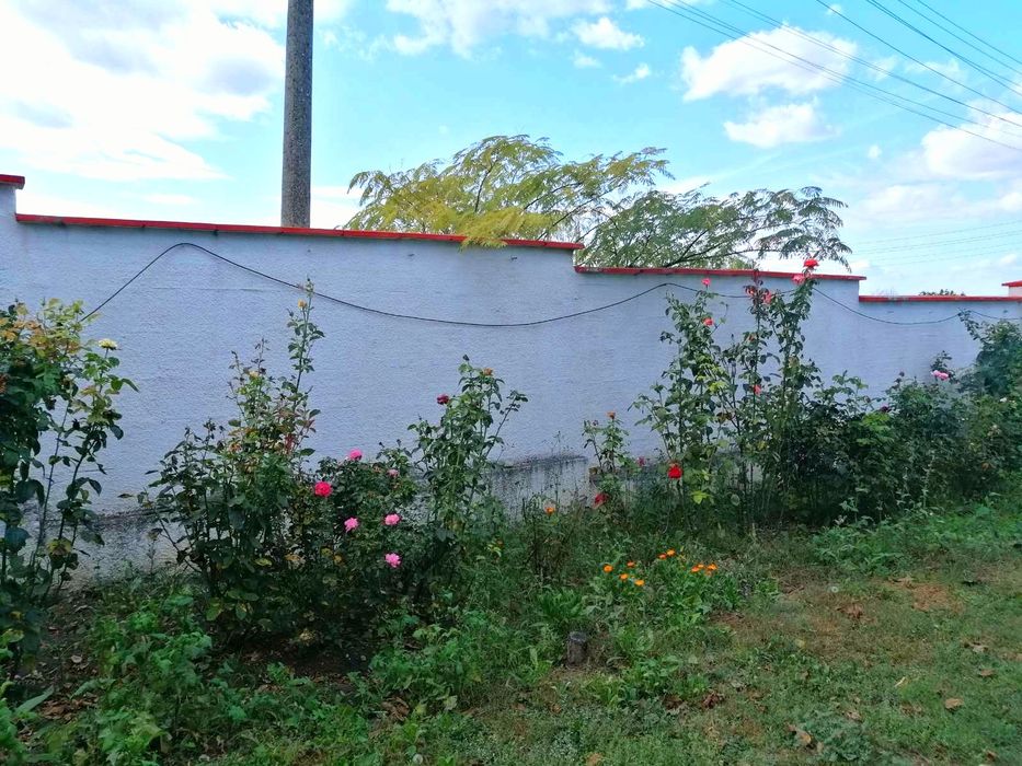 Продава се Парцел в с. Търнава, Област Ямбол - 1000 кв.м за 31 €/кв.м - Снимка #5