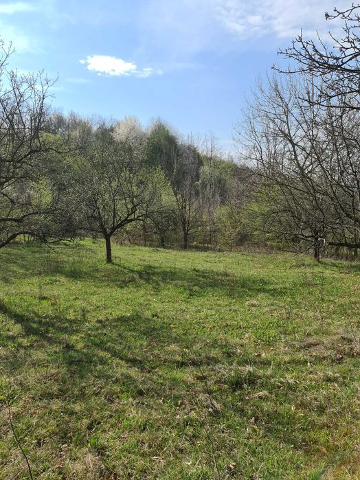 Teren de vanzare (1,7 €/mp) in Suici, Arges
