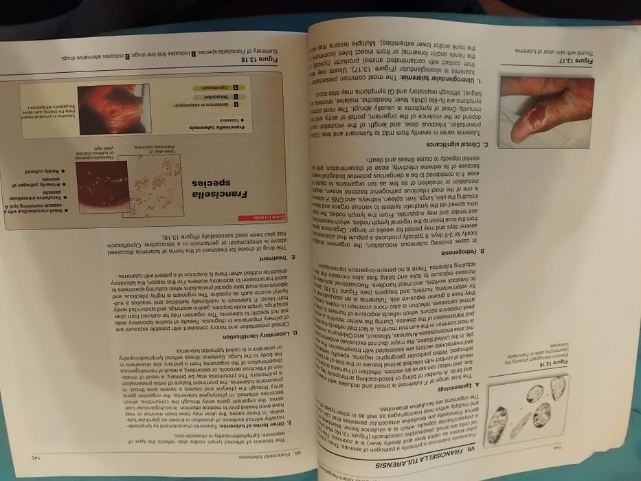 Microbiology Микробиология  Lippincott учебник