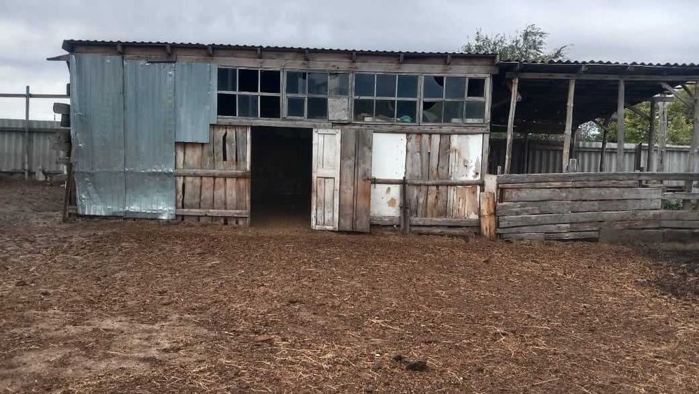 Продам фазенду в поселке Сергеевка