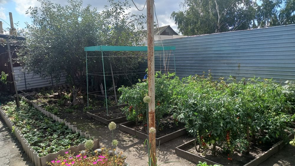 Продаётся 2 дома на одном участке