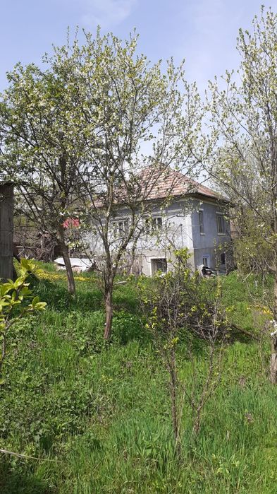 Vând casă cu grădină