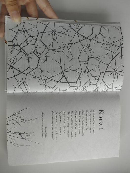 Жестокий принц,книга