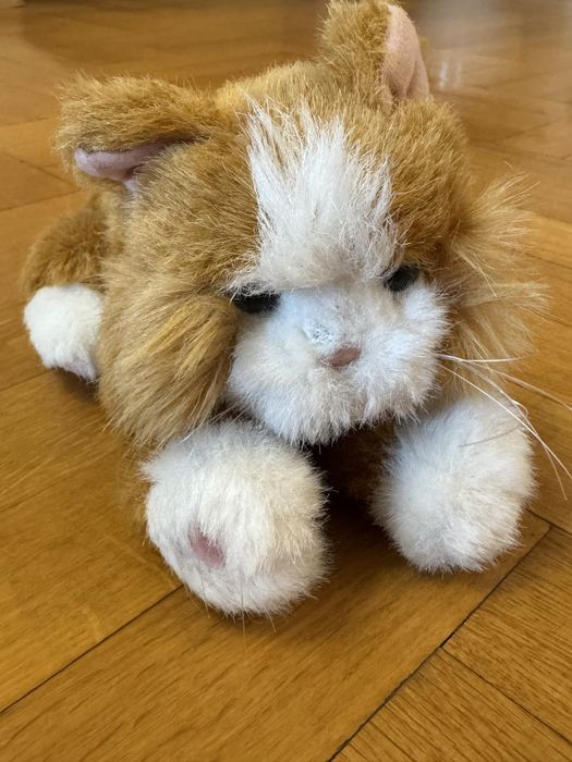 Интерактивно коте