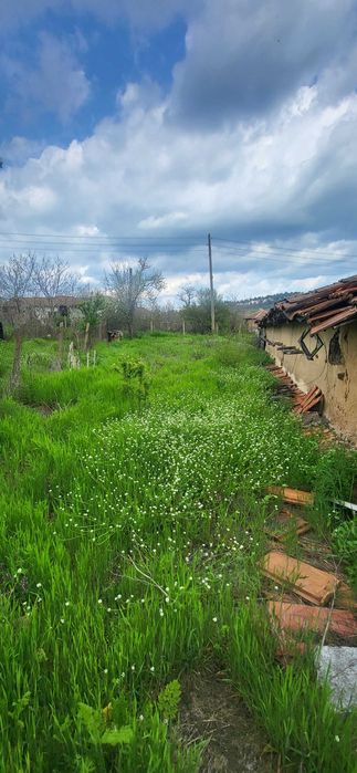Продава се Земеделски имот в с. Княжево, Област Хасково -  кв.м за 6 €/дка - Снимка #1