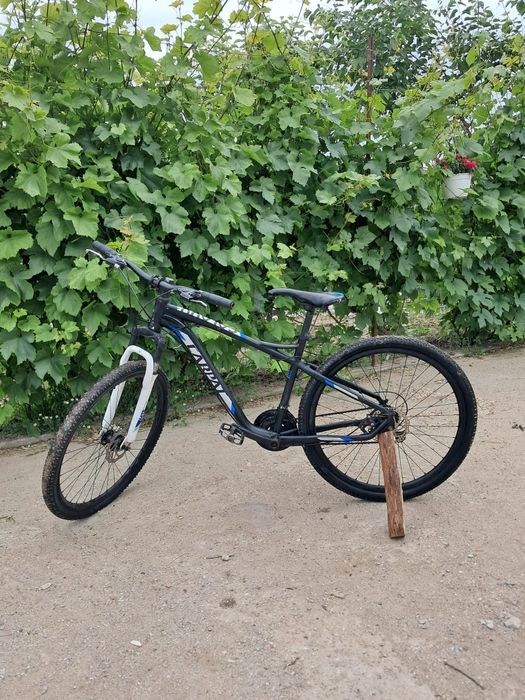 Bicicletă carpat