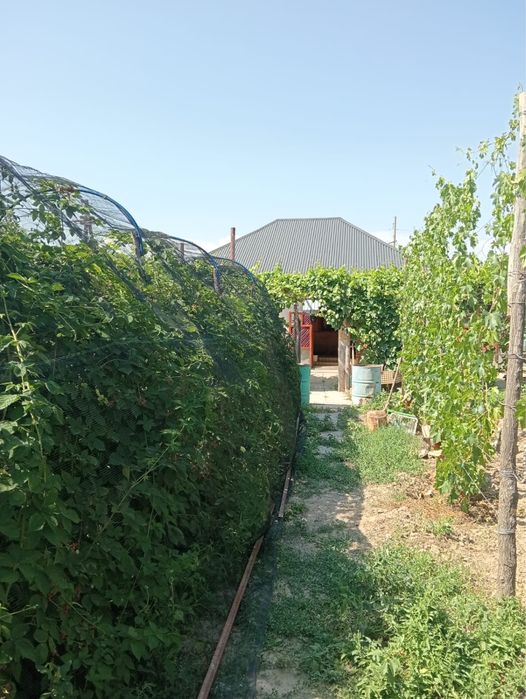 Продам участок с домом