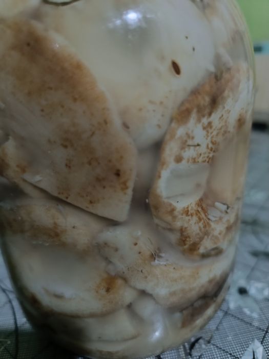 Продам грибы саленые грузди