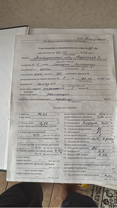 Семена люцерна. Жонышка урык. Жоңыршқа ұрық. Беде