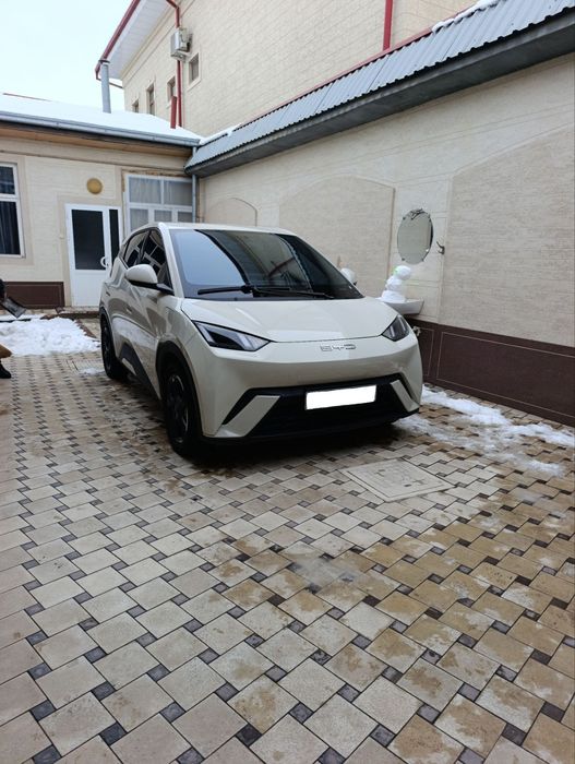 Аренда с выкупом BYD Seagull