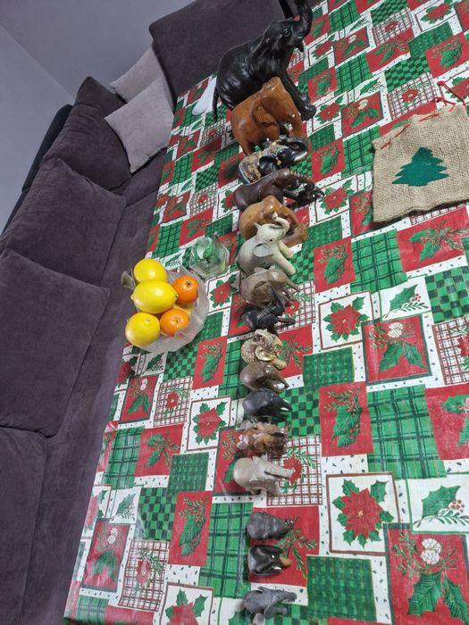 Колекция от Африкански слона