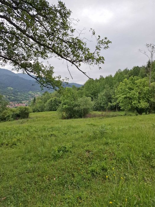 Teren extravilan, 11800 m2, comuna Agas, sat Preluci, jud Bacau