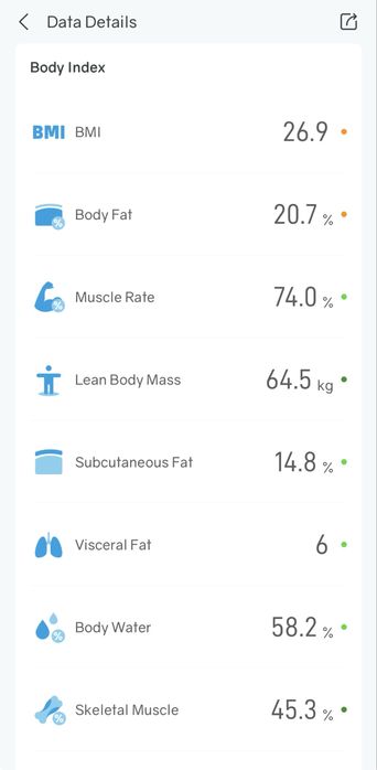 Cantar SMART electronic SilverGear cu maner si aplicatie - nou - alb