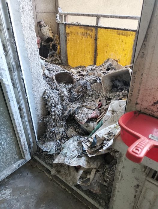 Debarasari si curățenie