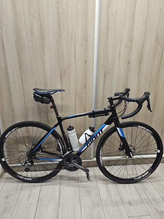 Cursiera Giant Contend 2