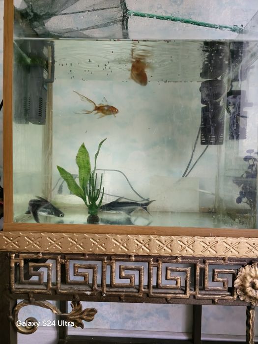 Аквариум с рыбками