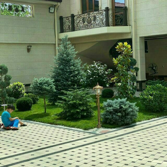 Ланшаф дизайнер тайор газон декаратив кучатлар екиш ва Шакил бериш