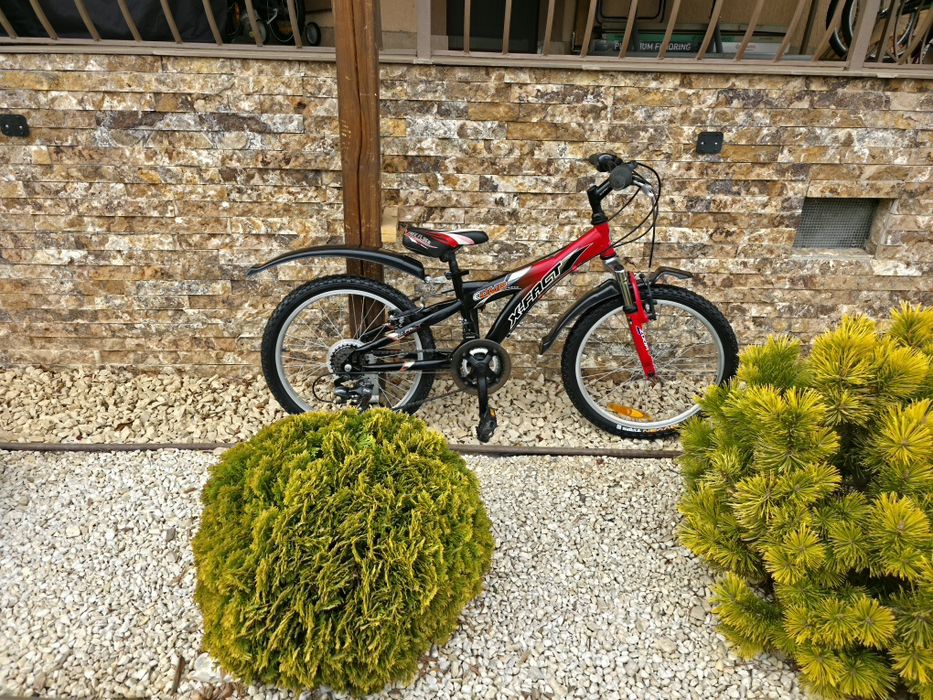 Bicicletă copii X-FACT 20 R