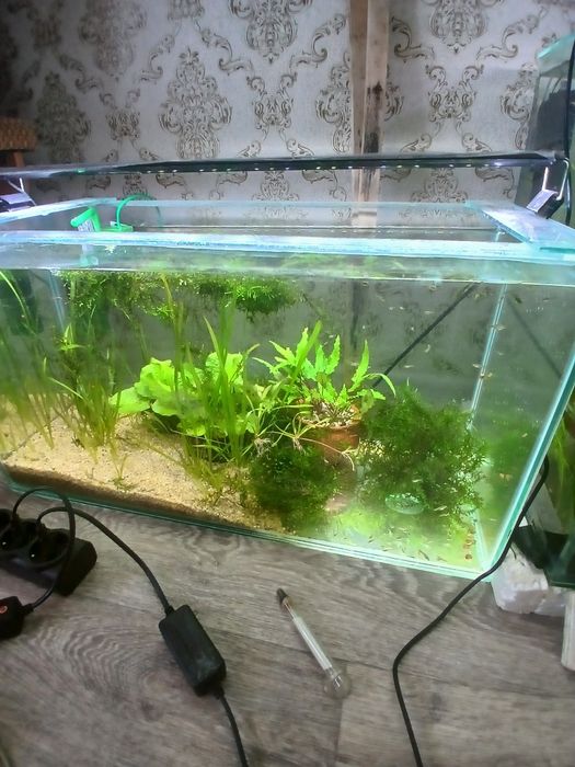 Продам аквариум 60 л с рыбками