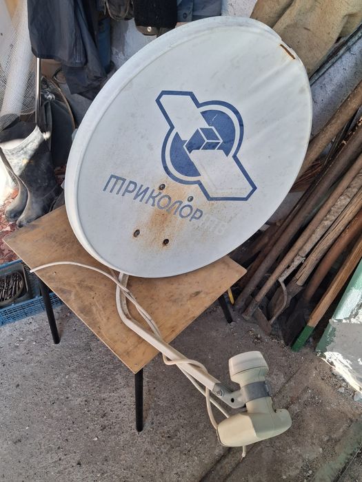 Тарелка триколор