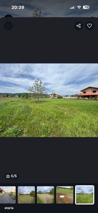 Vand Teren Bujoreni-Olteni