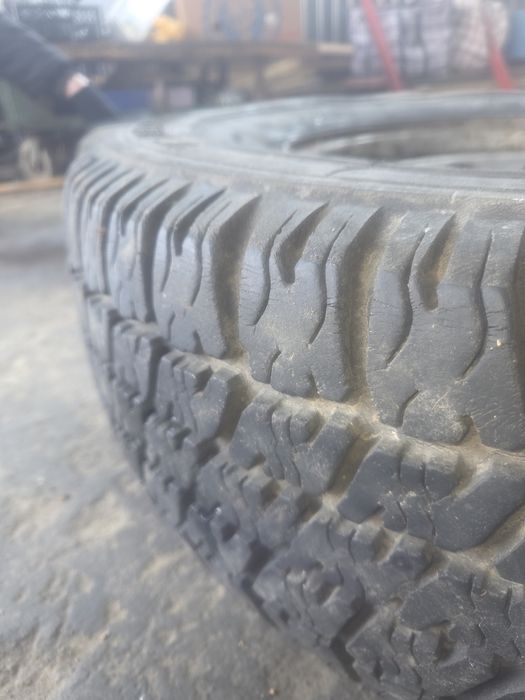 Делика, Покрышка