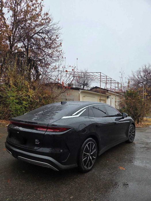 BYD Han L 1ta pod zakaz