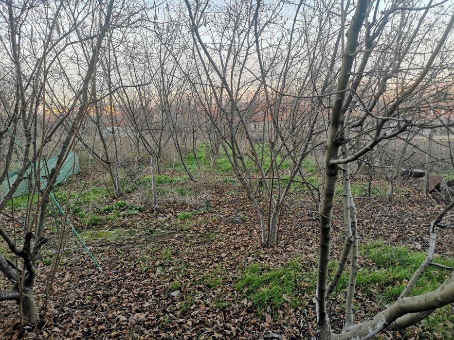 Продава се Къща в с. Ябълково, Област Хасково - 79 кв.м за 187 €/кв.м - Снимка #17