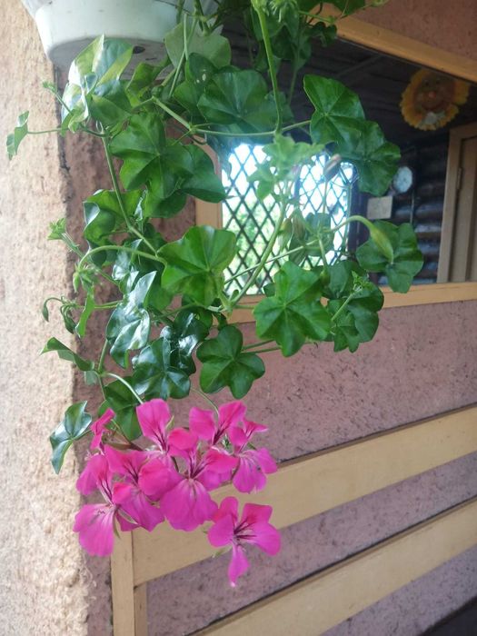 Продам дачу/Плотина/20 мкр