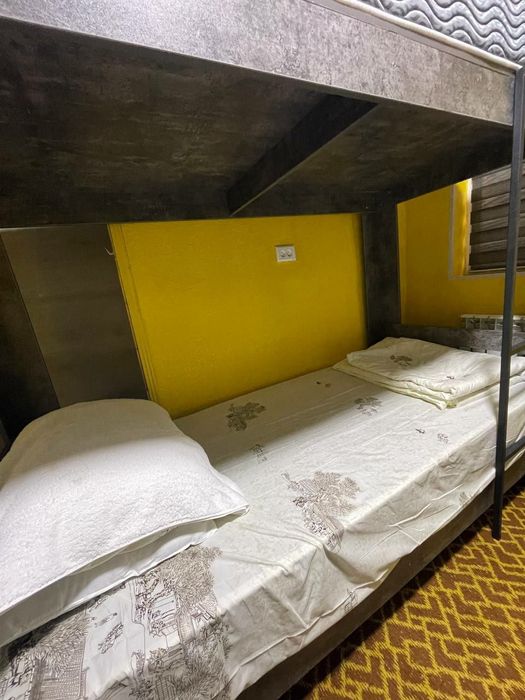 Mehmonxona: Hostel