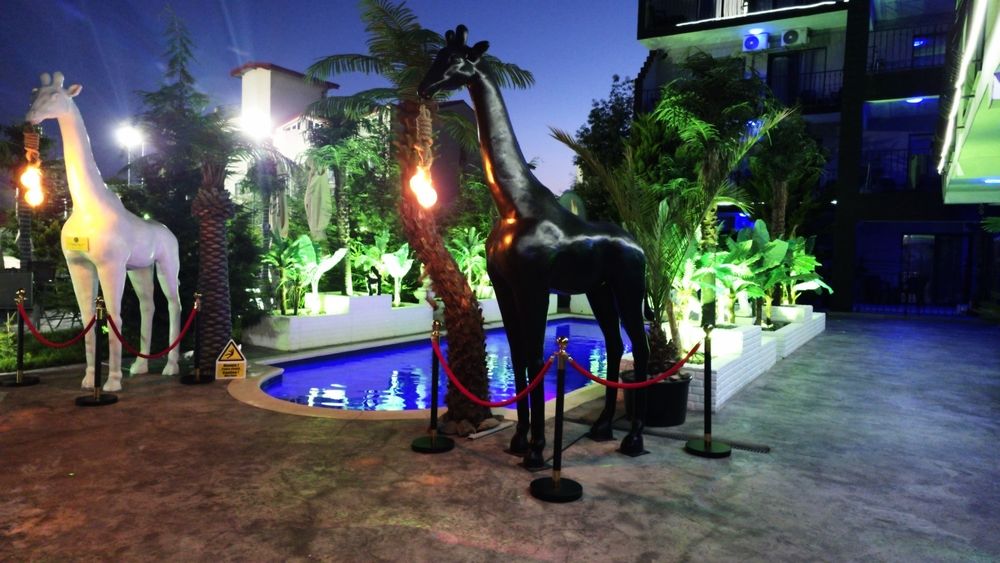 Cazare Costinesti Piscina