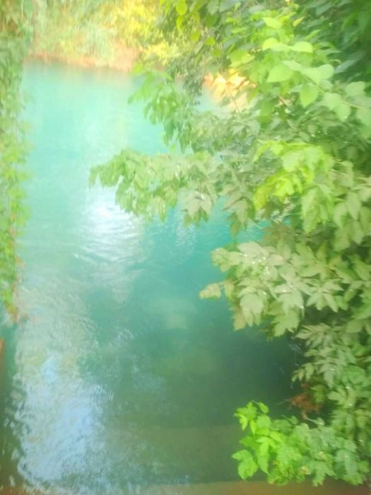 Сув буйида  ЕР ОЛИШНИ АЙНИ ВАКТИ ! 4 СОТИК ЕР фАСАД 22 м.!  Кибрай рн