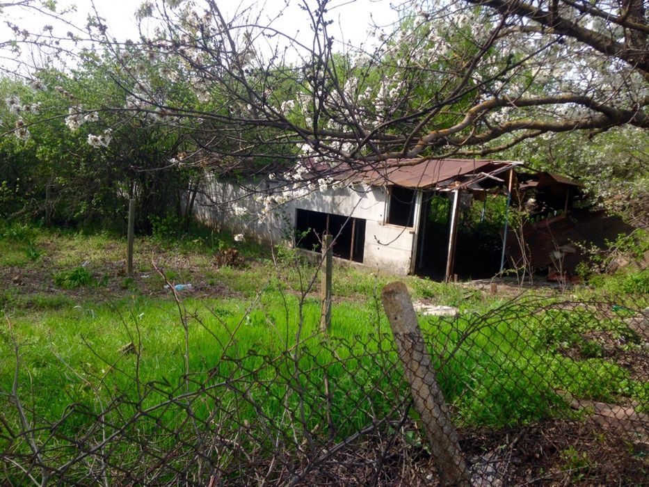 Дворно място гр.Шумен с.Панайот Волов на главен пат